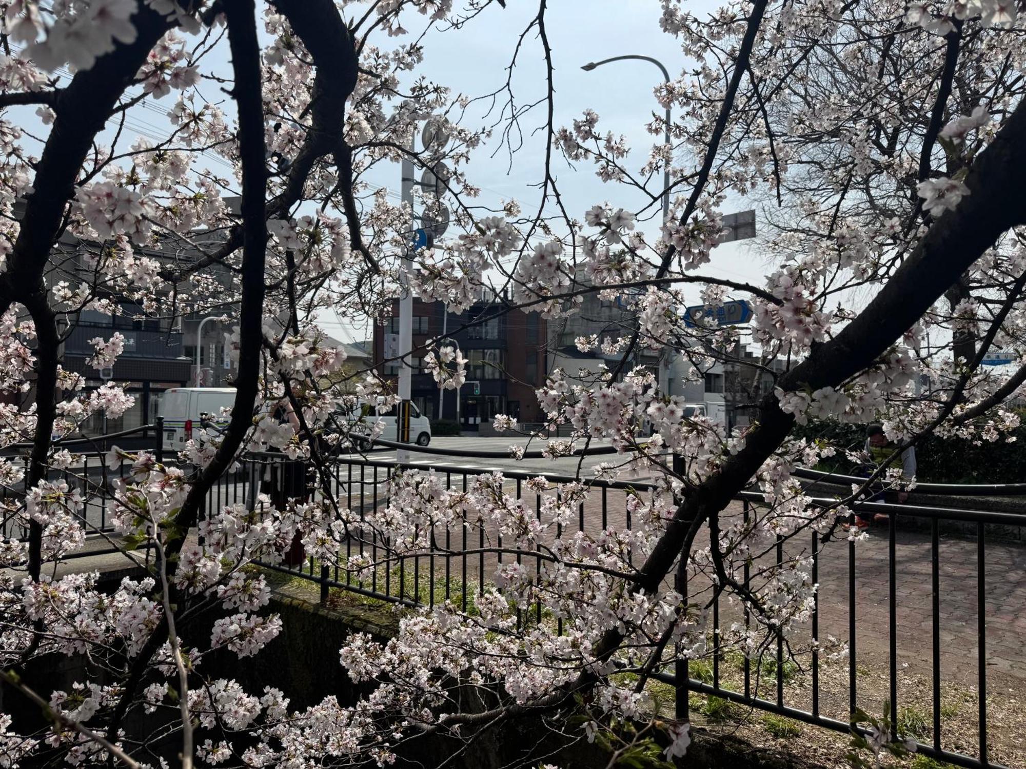 Mont-モン-Kamogawa Stay And Hotel Kyoto Bagian luar foto